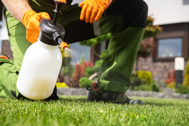 Best Affordable Pest Control Services  in Middleport, NY