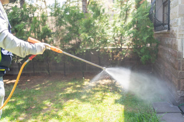 Best Pest Control Near Me  in Middleport, NY
