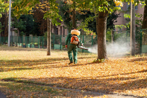 Reliable Middleport, NY Pest Control Solutions