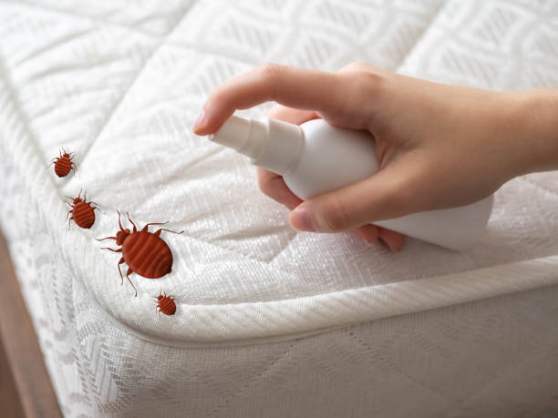 Best Best Pest Control Companies  in Middleport, NY