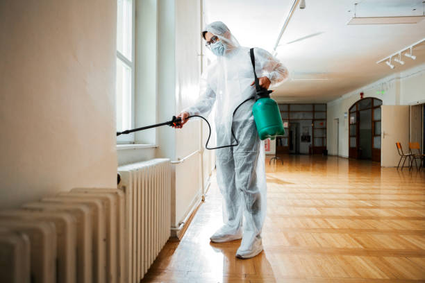 Best Pest Control Treatment  in Middleport, NY