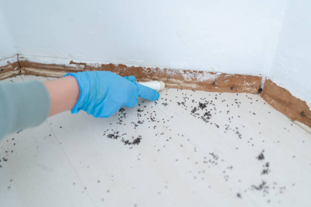 Pest Control for Restaurants in Middleport, NY