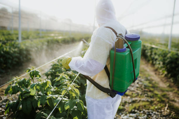 Best Pest Prevention Services  in Middleport, NY